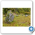 Sj&ouml;tofta Gravf&auml;lt