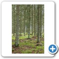 Auf dem Weg nach Vatofta-&Aring;saka