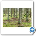 Auf dem Weg nach Vatofta-&Aring;saka