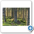 Auf dem Weg nach Vatofta-&Aring;saka