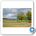 Gr&auml;berfeld von Lilla Lycke