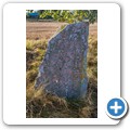 Runenstein und Steinkreis bei H&ouml;g