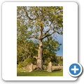 Alvastra Kloster