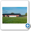 R&uuml;ckfahrt - Schweden
