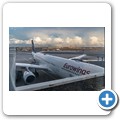 Hinflug - Flughafen Frankfurt