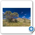 Kalahari