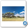 Kalahari