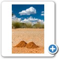 Kalahari