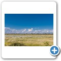 Kalahari
