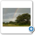 Kalahari - Gewitter am Abend