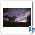 Kalahari - Gewitter am Abend