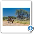 Kalahari