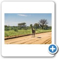 Kalahari