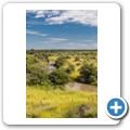 Fahrt nach Otjiwarongo