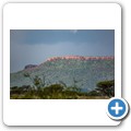 Fahrt nach Otjiwarongo