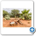 Otjiwarongo - Studio Kakao