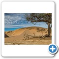 Damaraland