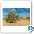 Damaraland