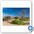 Damaraland
