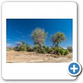 Damaraland