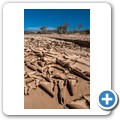 Damaraland