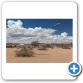 Damaraland