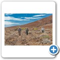 Damaraland - Nashorn-Trekking