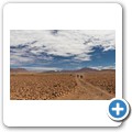 Damaraland - Nashorn-Trekking