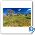 Damaraland