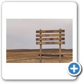 Cape Cross Seal Reserve