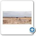 Cape Cross Seal Reserve