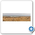 Cape Cross Seal Reserve