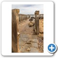 Cape Cross Seal Reserve