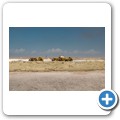Walvis Bay - Salzgewinnung
