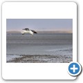 Walvis Bay - Salzgewinnung