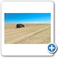 Namib-Naukluft NP - Welwitschia Drive