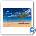 Namib-Naukluft NP
