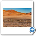 Sossusvlei - Springb&ouml;cke