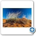 Sossusvlei