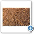 Sossusvlei
