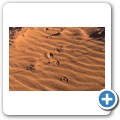 Sossusvlei