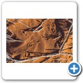 Sossusvlei