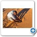 Sossusvlei - Trichternetzspinne