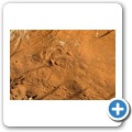 Sossusvlei - Sidewinder