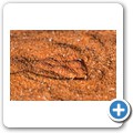 Sossusvlei - Sidewinder