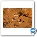 Sossusvlei - Sidewinder