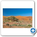 Sossusvlei - Oryx