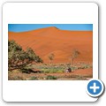Sossusvlei - Oryx