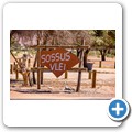 Sossusvlei