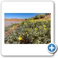 Sossusvlei